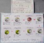 2022okinawa06.jpg